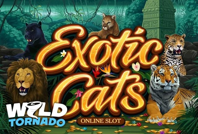 Playing Exotic Cats Slot Lands Huge Rewards
