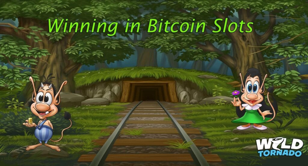 Tips For Playing Bitcoin Slots